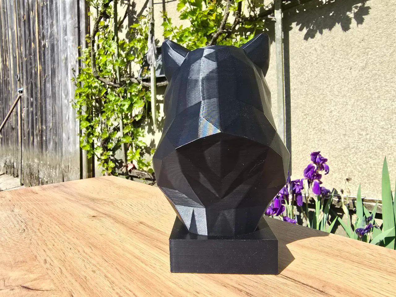 British Shorthair Kedi 