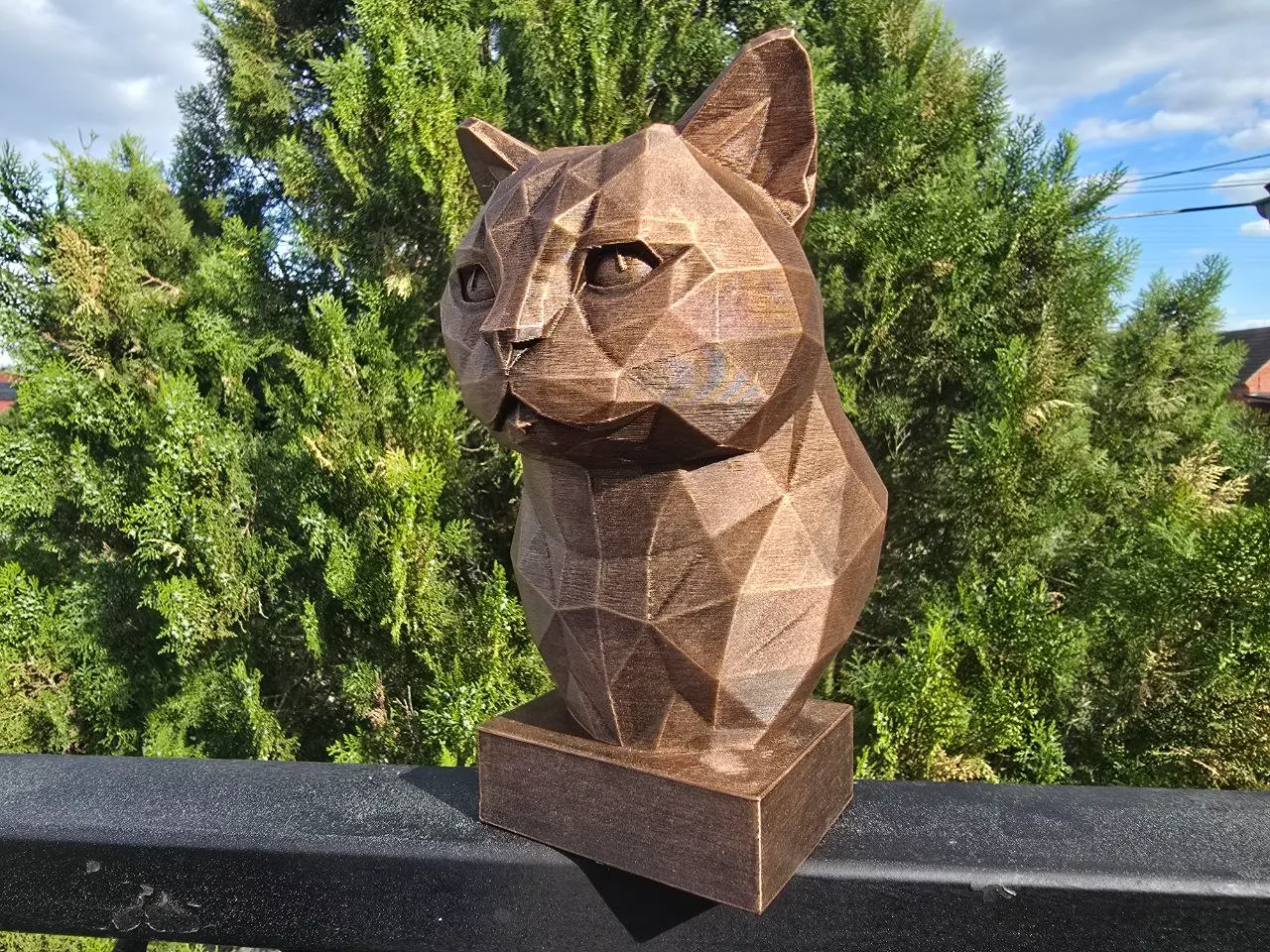 British Shorthair Kedi 