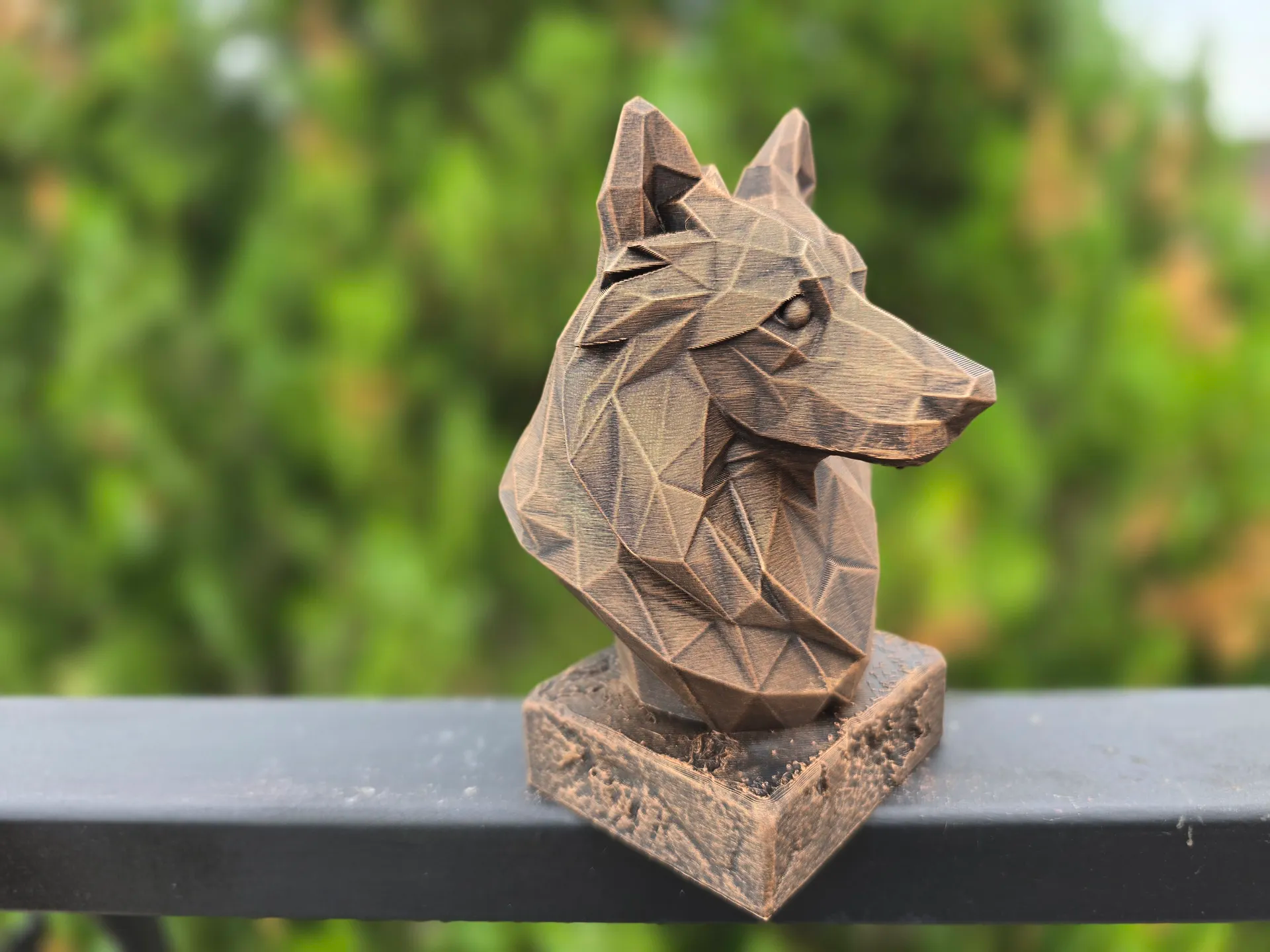 SHETLAND ÇOBAN KÖPEĞİ DÜŞÜK POLİGONLU BÜST