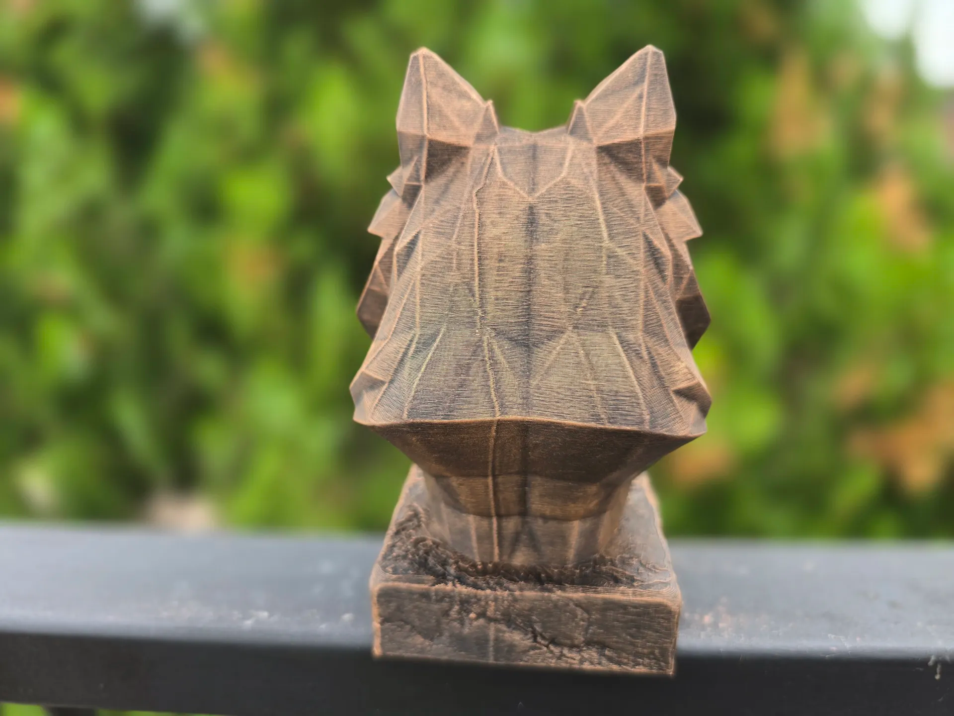 SHETLAND ÇOBAN KÖPEĞİ DÜŞÜK POLİGONLU BÜST