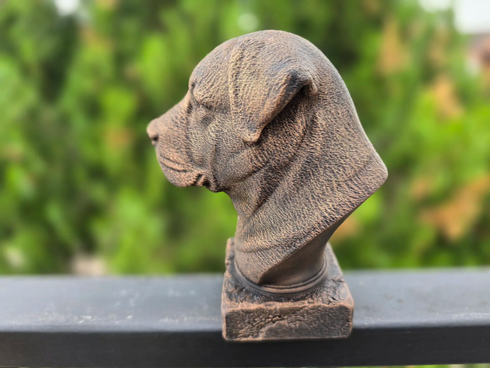 Orta Asya Çoban Köpeği Büstü