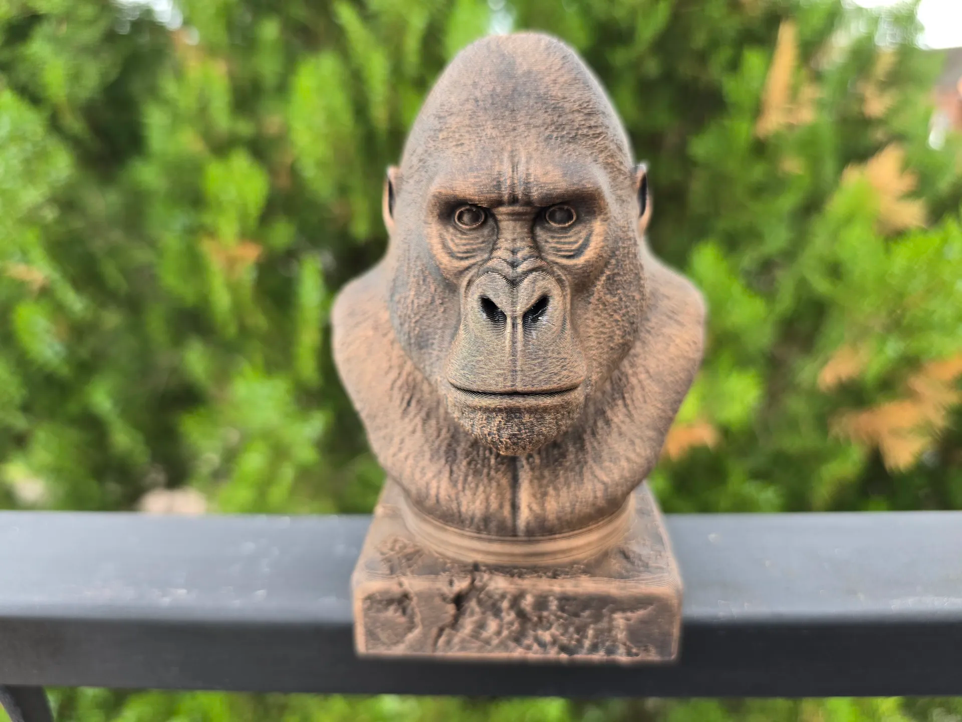 GORİL  BÜSTÜ