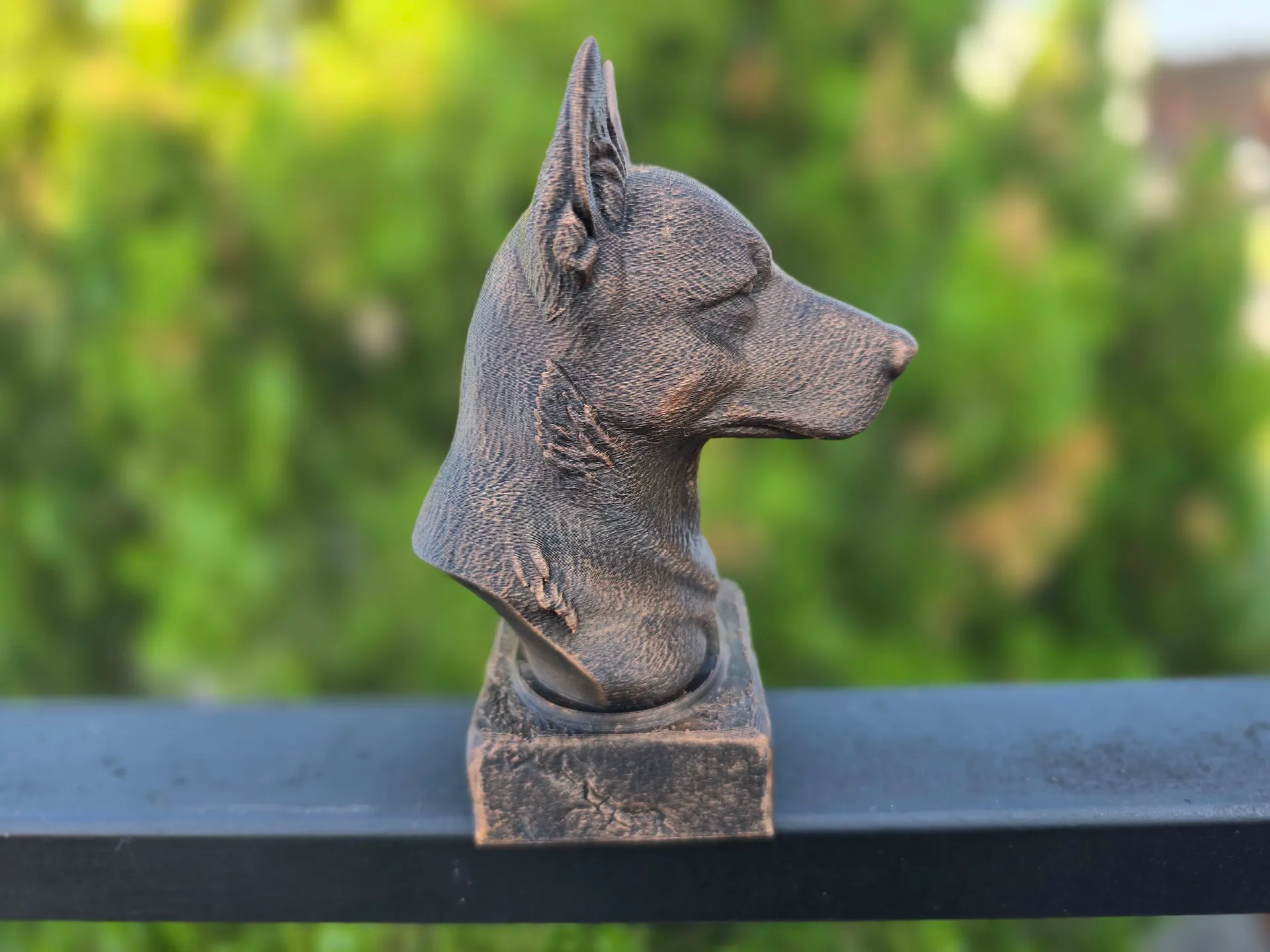 Avustralya sığır çobanı köpeği BÜSTÜ