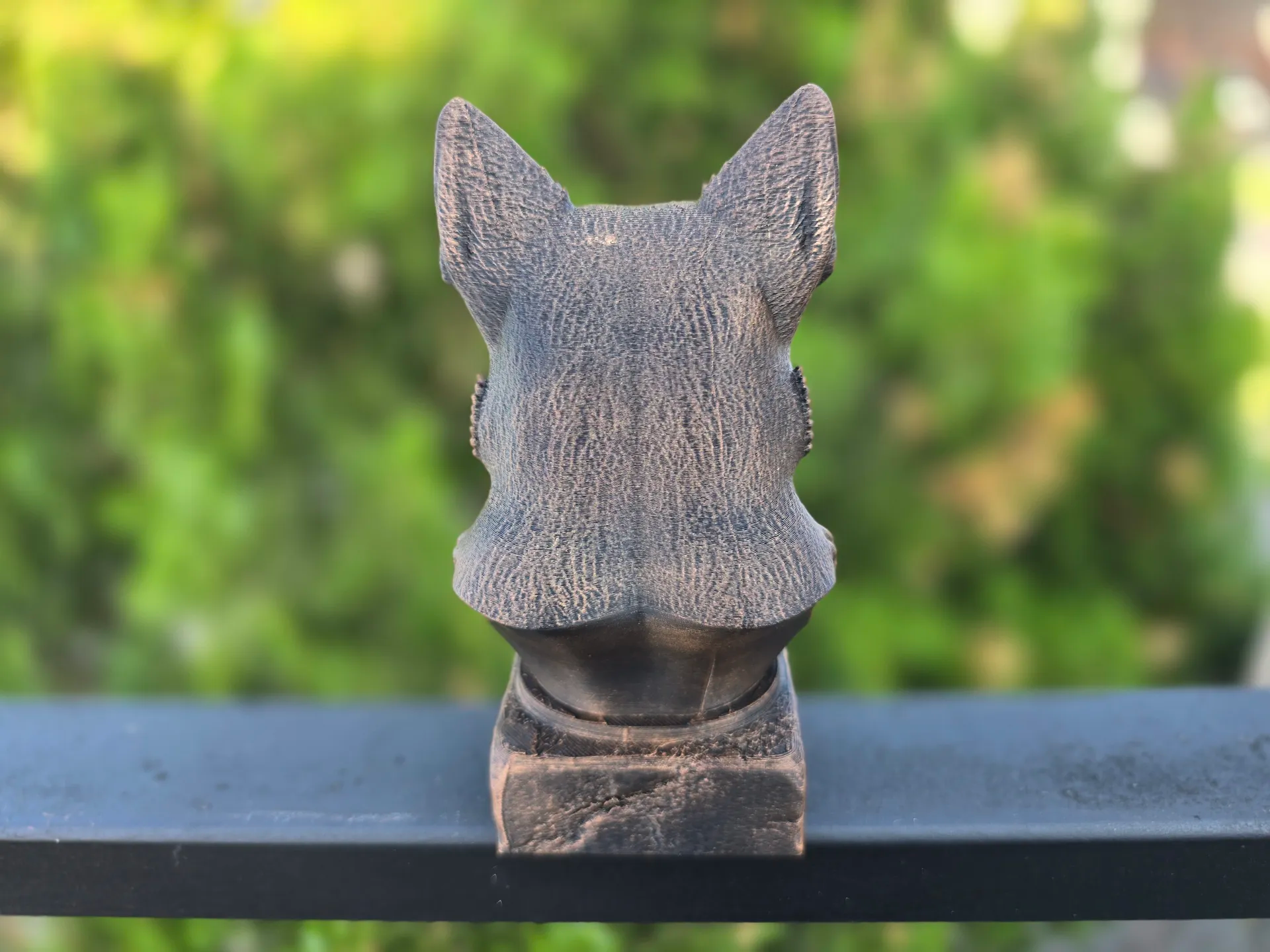 Avustralya sığır çobanı köpeği BÜSTÜ